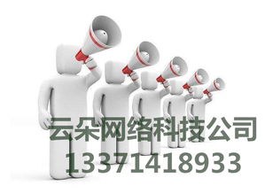 云朵網(wǎng)絡(luò) 專業(yè)SEO優(yōu)化外包服務(wù)，科技賦能網(wǎng)絡(luò)營(yíng)銷推廣